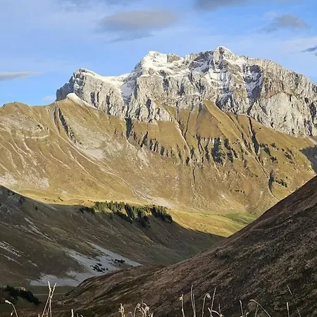Campanules 2 I Duplex Montagne * Abondance
