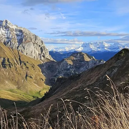 Campanules 2 I Duplex Montagne *